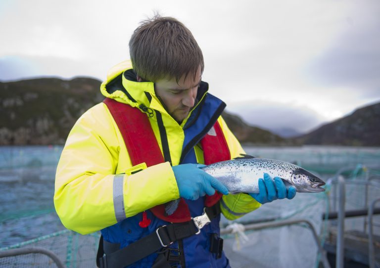 Benchmark sells FishVet to Pharmaq