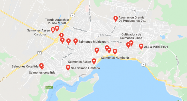 Government locks down Chilean salmon-processor city Puerto Montt