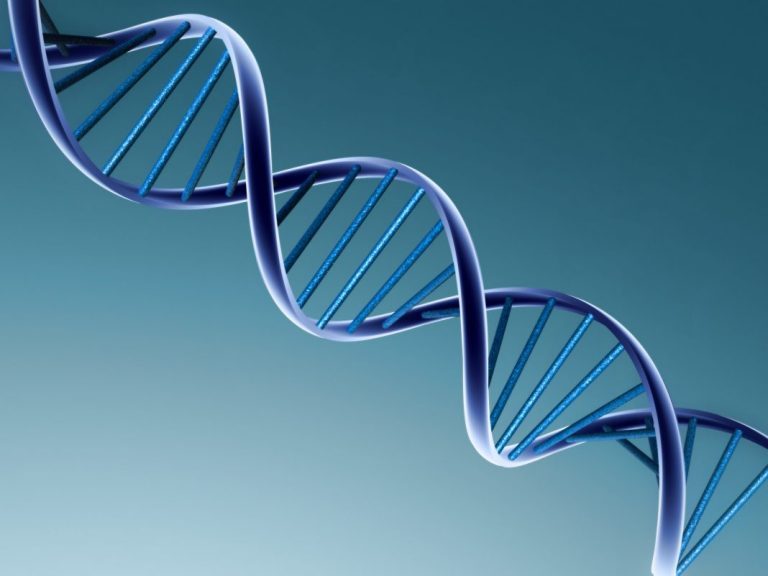 MSD Animal Health acquires company that specialises in DNA-based animal traceability solutions