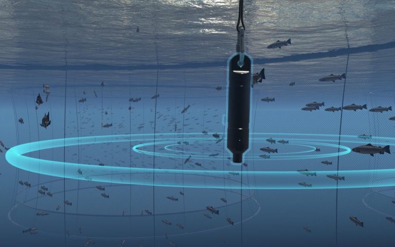 Mowi installs artificial intelligence systems to monitor twenty of its Scottish salmon farms