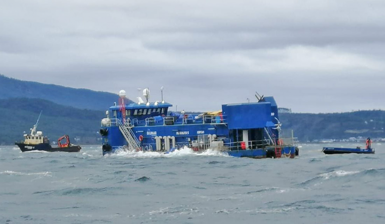Sernapesca gives Blumar 10 days to come up with plan to remove dead fish from sunken cages