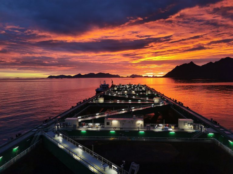 First fish put into gigantic salmon ocean farm “Jostein Albert”