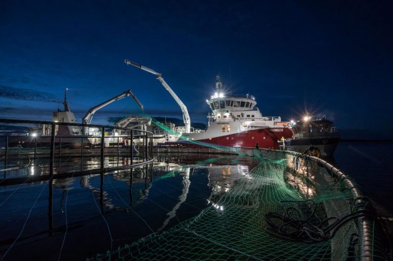 NTS considering spinning off fleet