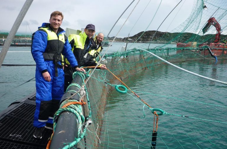 This is how the best salmon farmers feed their salmon
