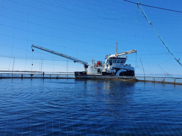 “Overall, we salvage significant amounts of salmon that would otherwise have been thrown away”