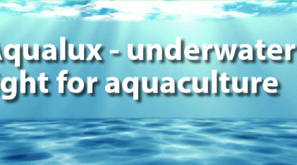 980×300-english-lys-6