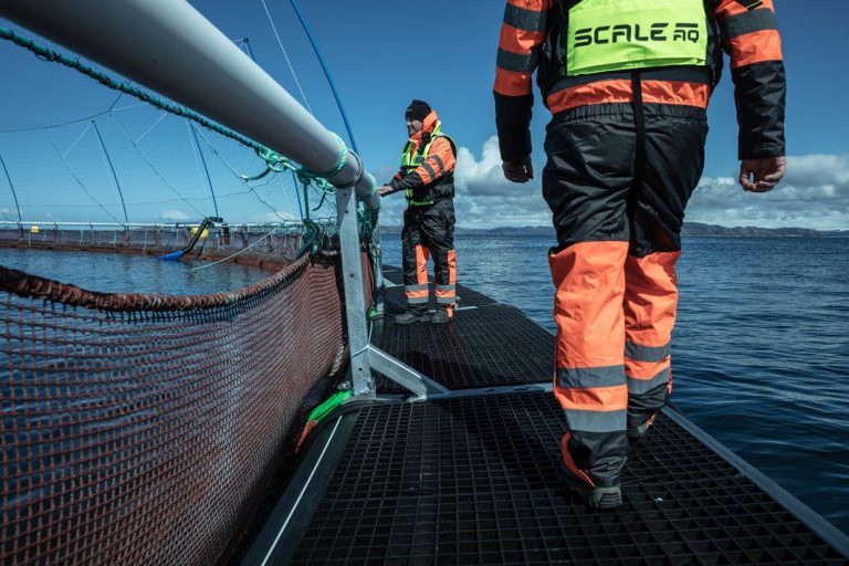 ScaleAQ hires two dedicated managers in the fields of sustainability and biology