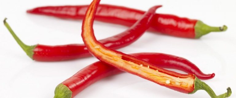 Dr invents hot spicy home-made treatment that kills sea lice in one minute and 20 seconds