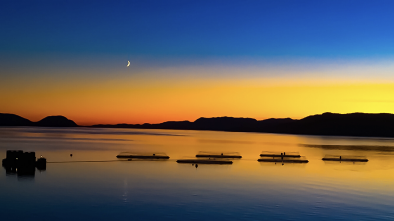 One leads with a 68% operating margin. Here are the most profitable salmon farmers in Norway