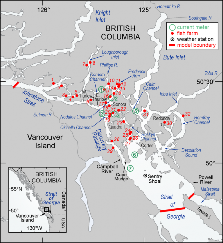 Grieg looks to increase production at other sites over Discovery Islands salmon farm ban