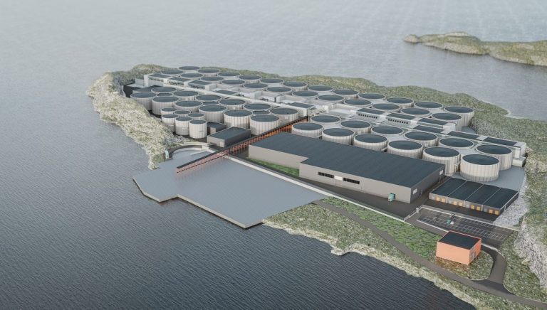 Investment bank Pareto is chasing €48 million for Salmon Evolution