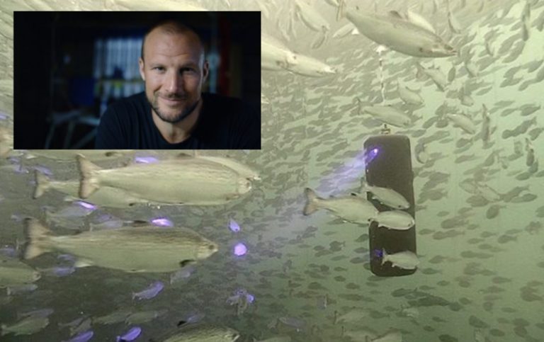 Olympic gold medalist alpine skier invests in lice laser company