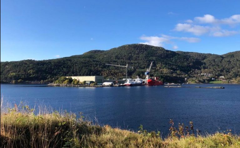 Witzøe denies that SalMar is being used as a pawn in ongoing merger negotiations