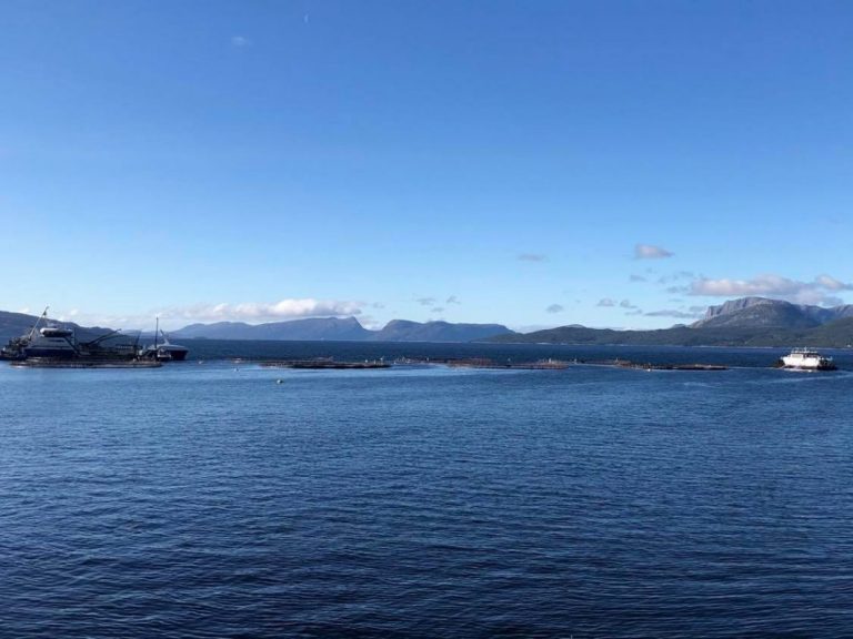 Softer salmon prices as new corona shutdowns hurt Horeca segment