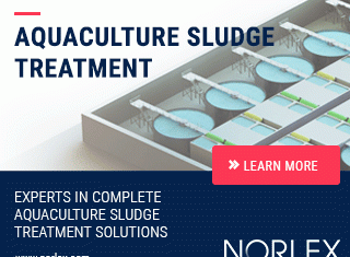 norlex_banner320x250