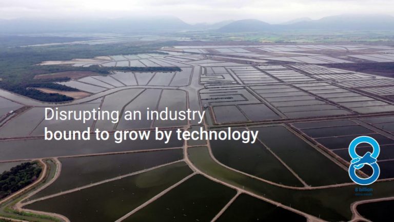By 2023, CageEye projects €54 million in sales from shrimp feeding, but last year they didn’t turnover a cent