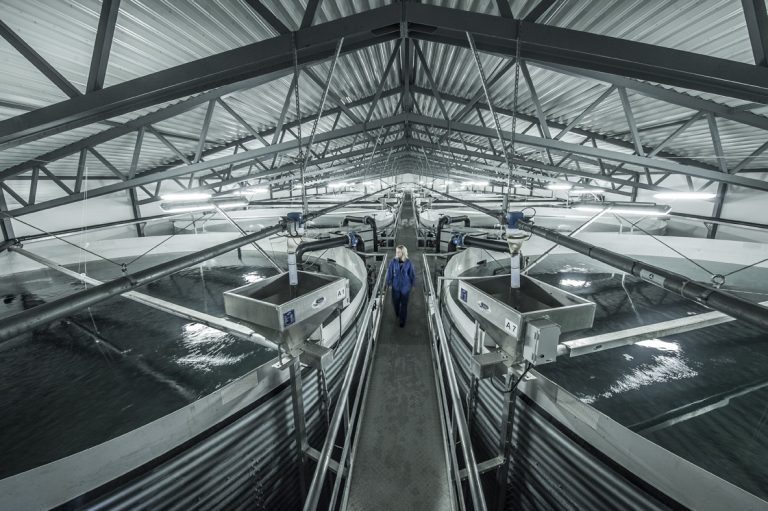 AKVA secures €30 million land-based contract with Mitsubishi-backed producer