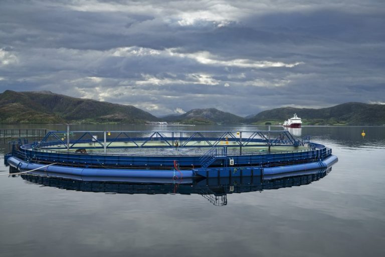 NRS terminates merger discussions with NTS
