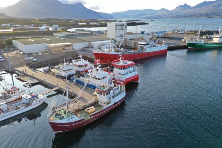Ice Fish Farm revenues increase as higher volume of salmon is harvested