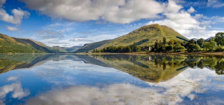 Loch Fyne Oysters export sales decrease significantly