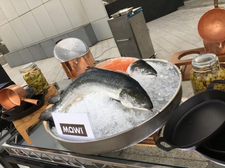 Scottish salmon returns to Saudi Arabia after 18-month gap