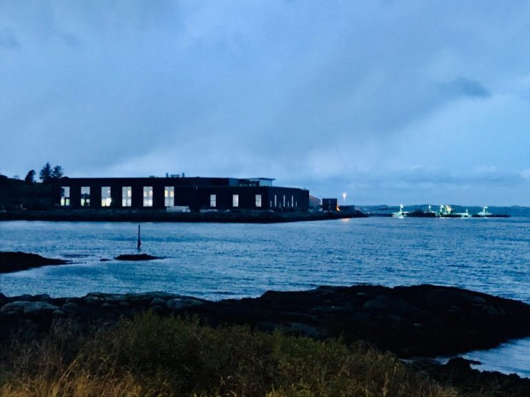 No salmon price recovery in sight