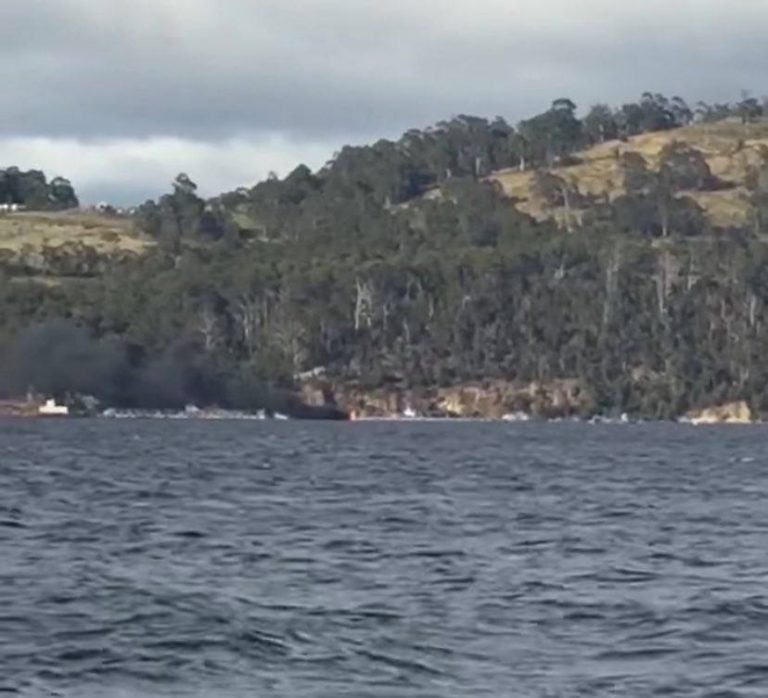 Fire hits another Huon salmon cage