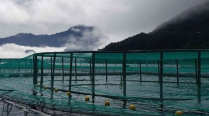 133717475_391291015508127_3898821855725488434_n