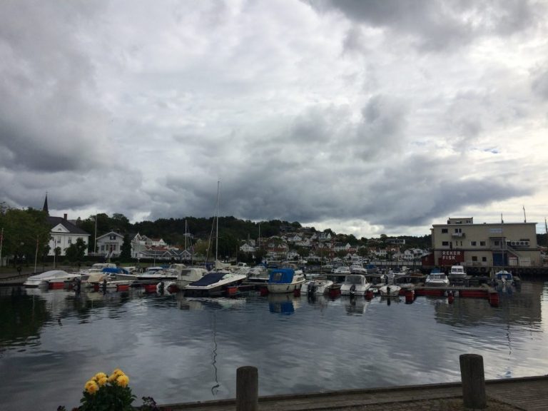Baring considers second land-based salmon farm