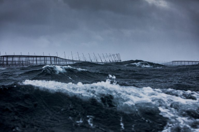Net cleaning operations caused salmon escape, says Huon Aquaculture