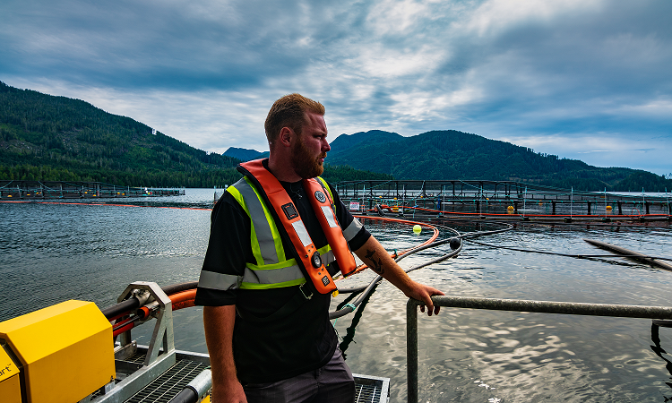 “Sloppiest, most careless, thoughtless, reckless, heartless”: BC salmon farmers react to Discovery Islands phase out
