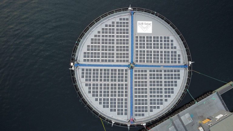 Hofseth tests floating solar salmon farms for emission-free operations