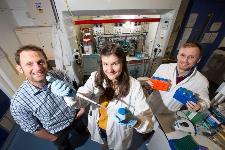 Scottish start-up salmon gut simulator wins contract to support alternative protein producer Calysta