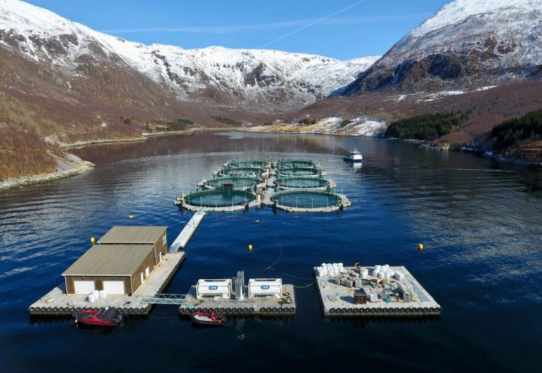 “Only the imagination limits where salmon production in closed-containment systems in the sea will be in three, five and ten years”