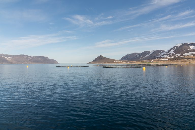 New Icelandic salmon farmer starts trading at Oslo Stock Exchange