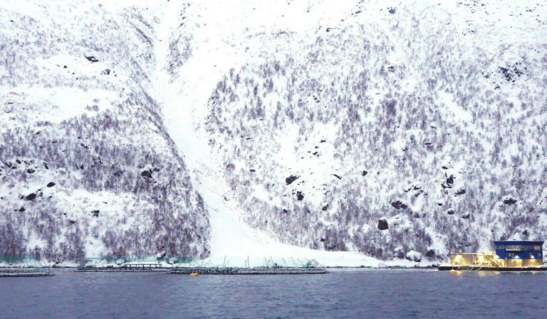 First new photos of Grieg Seafood’s avalanche-hit site have been released