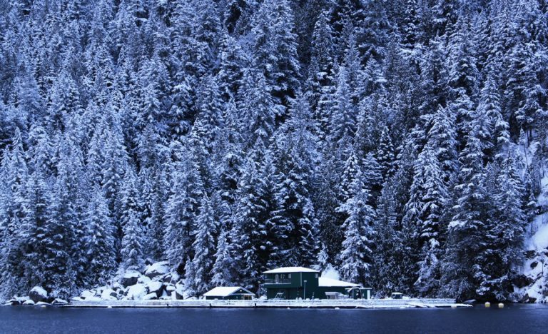 Discovery Island salmon farm closures will result in “$21 million in lost tax revenue”