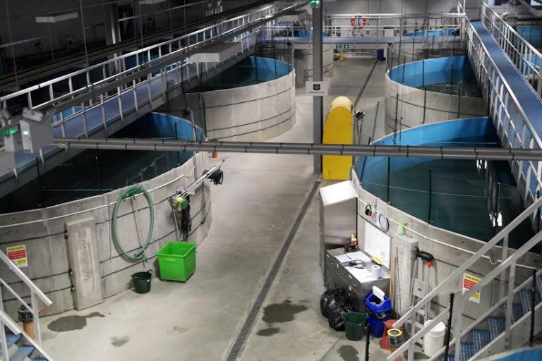 This will change the salmon farming supply industry over the next decade