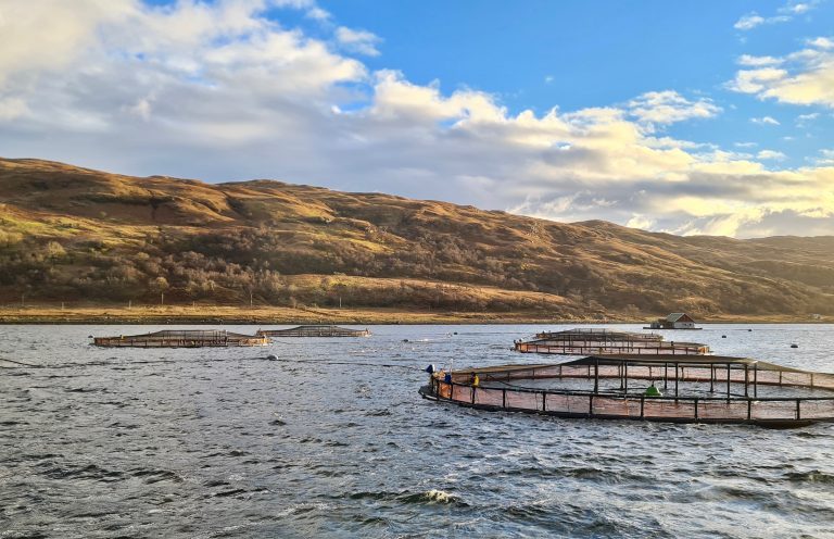 Scottish Sea Farms warns costs are rising at a never seen before rate