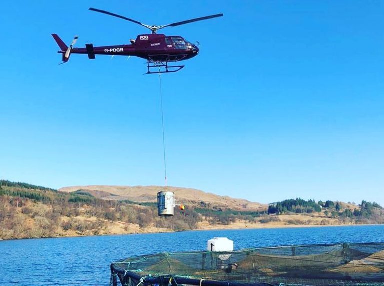 Fish farmer transfers smolt via chopper