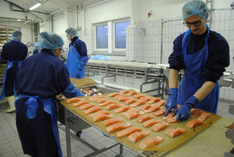 Salmon prices remain well above €6