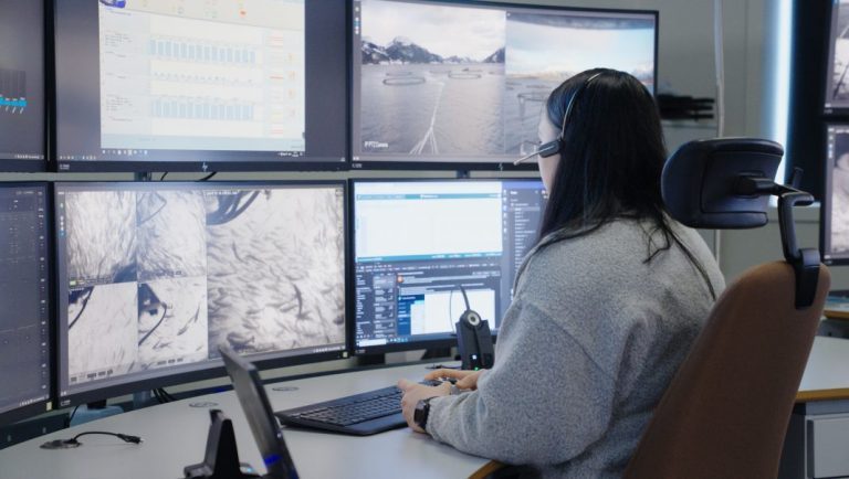 Real-time biomass monitoring, digital lice counting and autonomous feeding. Mowi will digitise its entire value chain