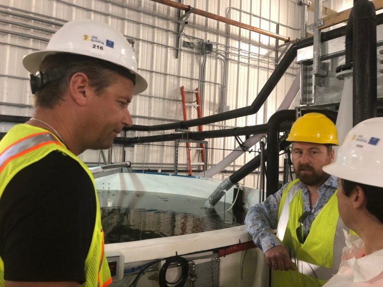 Atlantic Sapphire falls further, founding duo buy shares