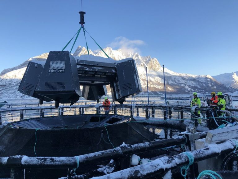 Cermaq will use artificial intelligence and machine learning to identify each salmon. First sensor launched