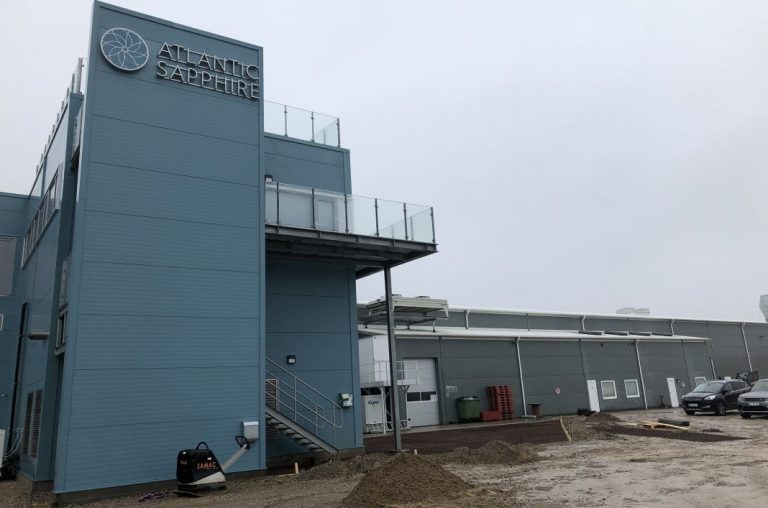 Nordea Markets downgrades Atlantic Sapphire – and cuts the price target by 60 per cent