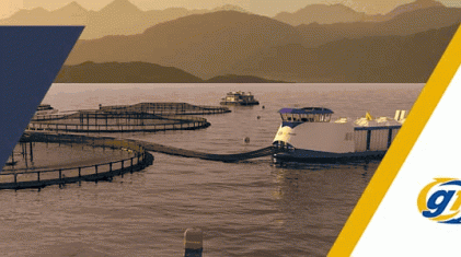 Salmon Business 15 March Topboard