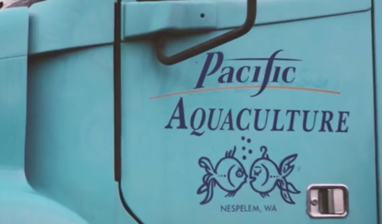 University of Maryland partners with Pacific Seafood to improve rainbow trout fillet quality and yield