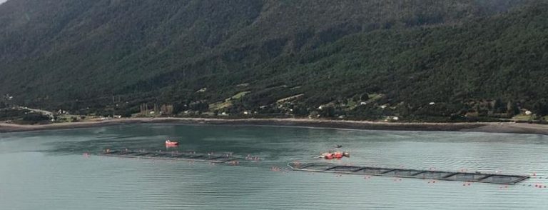 Salmones Camanchaca to receive $30m capital injection to speed recovery from algal bloom