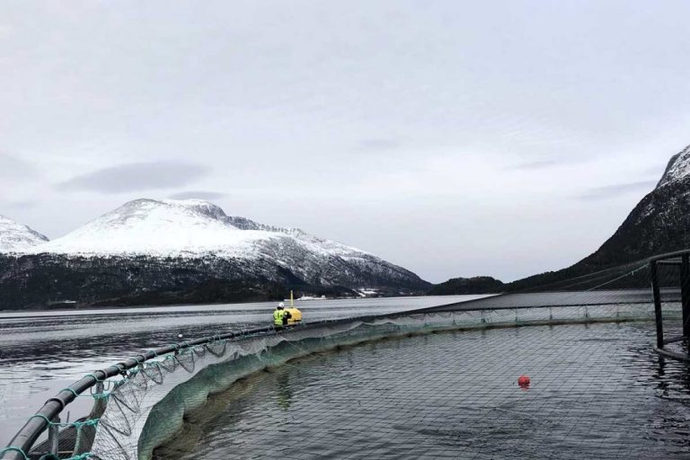 Now you can hear if salmon are stressed or hungry