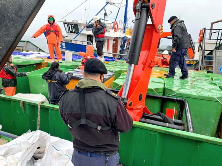 Death toll reaches 4,244 tonnes as toxic algea bloom hits Chilean salmon